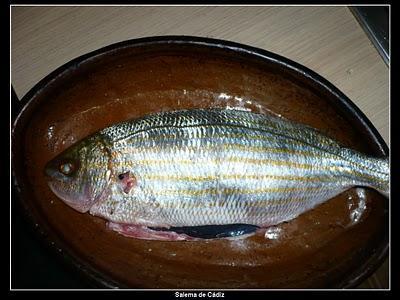 Un pescado alucinante Un pescado alucinante