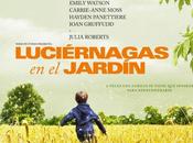 "Luciérnagas Jardín"