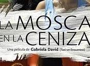 Talleres, cine, moscas vida...siempre vida