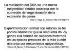 Maltrato infantil y epigenética