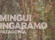 "Patagonia" (2009) pianista teclista argentino Mingui Ingaramo
