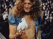 Robert Plant
