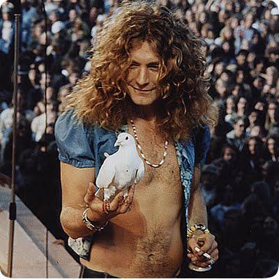 Robert Plant