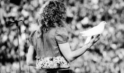 Robert Plant