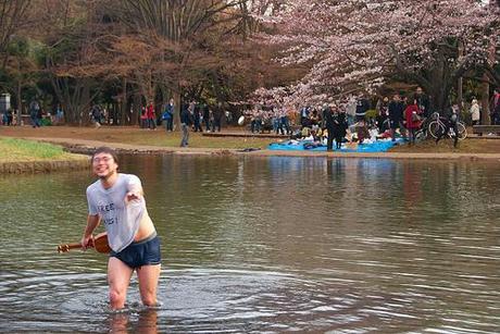 Hanami en Yoyogi Hanami en Yoyogi