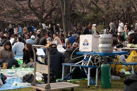 hanami Hanami en Yoyogi