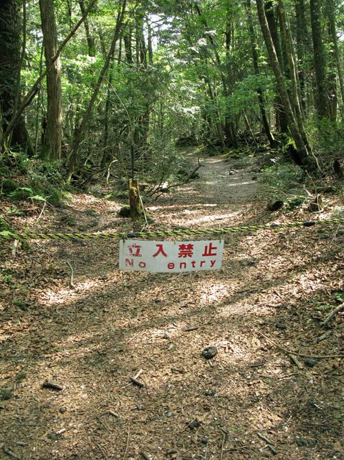 Aokigahara, el Bosque de los suicidas