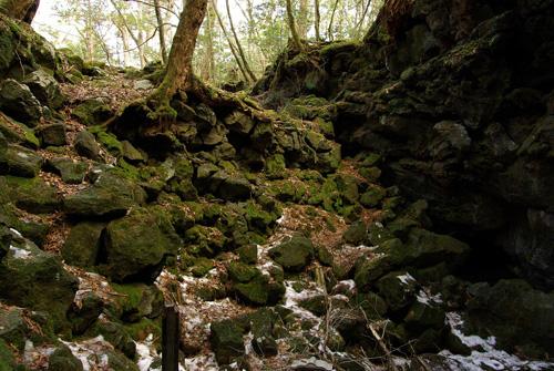 Aokigahara, el Bosque de los suicidas