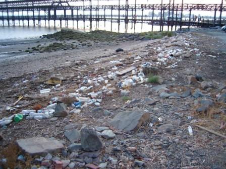 Videos de denuncia sobre Huelva