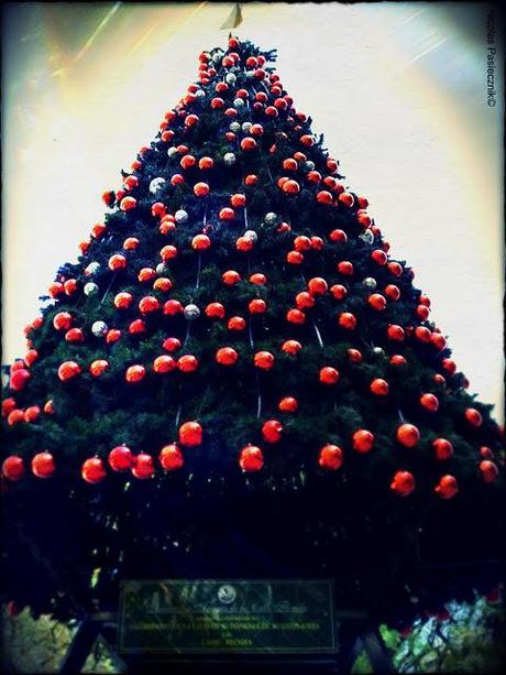 Árboles de Navidad de Buenos Aires