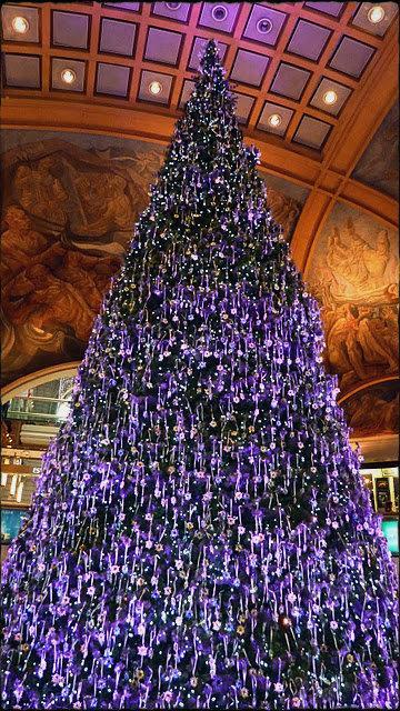 Árboles de Navidad de Buenos Aires