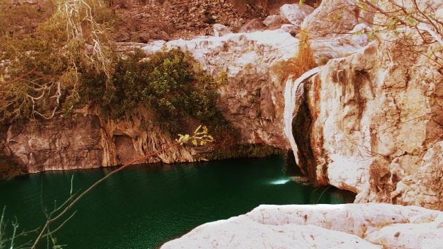 Se presento el documental “Oasis de Baja California Sur”