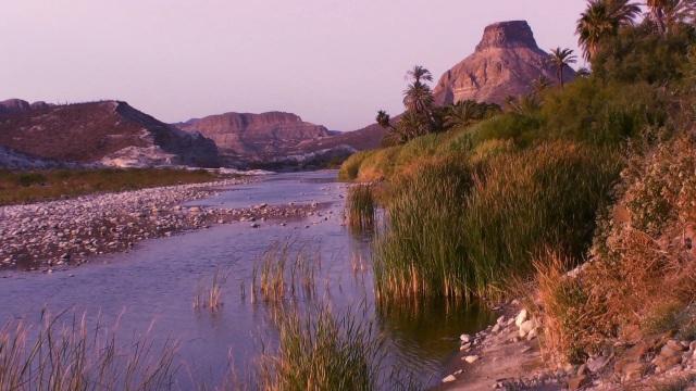 Se presento el documental “Oasis de Baja California Sur”