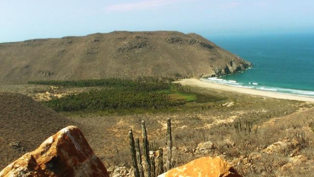 Se presento el documental “Oasis de Baja California Sur”
