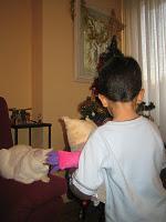 Ota, una lechuza con muchas ganas de divertirse