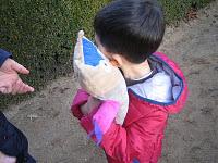 Ota, una lechuza con muchas ganas de divertirse