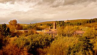 Navidad: un día para vivir en familia