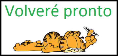 Me despido temporalmente