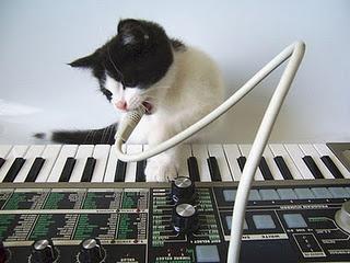 NUEVO SINGLE DE THE OUTER SPACE