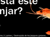 ¿Feliz Navidad?