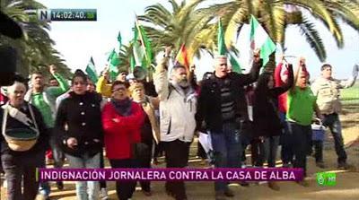 Las descalificaciones de Cayetano de Alba a los andaluces generan una fuerte polémica Las descalificaciones de Cayetano de Alba a los andaluces generan una fuerte polémica