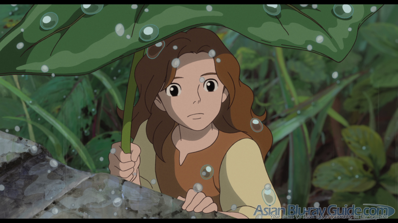 'Arrietty y el mundo de los diminutos' en DVD y Blu-ray el 18 de Enero