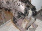 Como dejarla calle... aunque podamos pagar