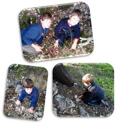 Cáceres... y setas con jamón