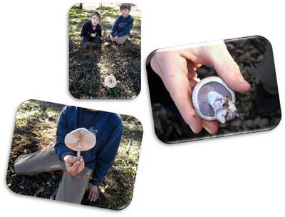 Cáceres... y setas con jamón