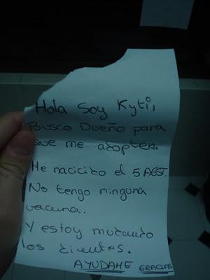 Kyti. A la perrera! Abandonada con nota, perrita mini 4 meses cachorra.