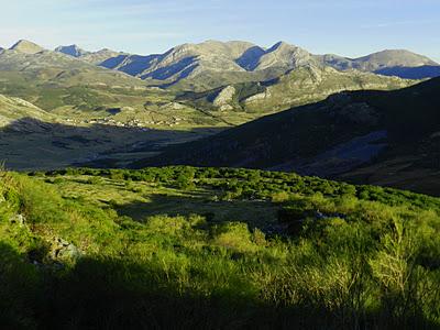 picu asta y picu aspia