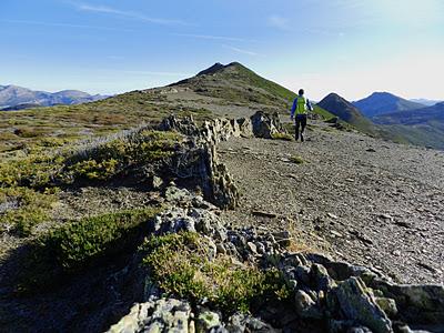 picu asta y picu aspia