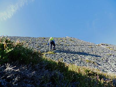 picu asta y picu aspia