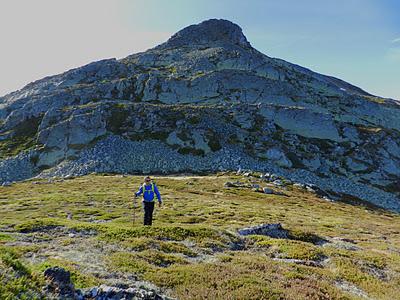 picu asta y picu aspia