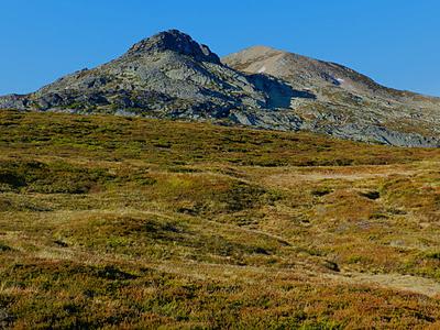 picu asta y picu aspia