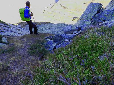 picu asta y picu aspia