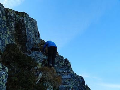 picu asta y picu aspia