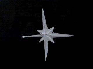 Conociendo la Base de Fénix Conociendo la Base de Fénix