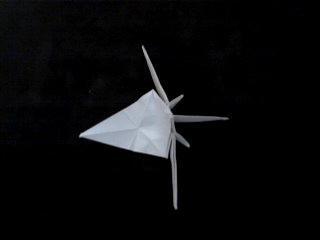 Conociendo la Base de Fénix Conociendo la Base de Fénix