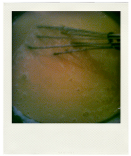 Bollitos Rellenos con Crema Pastelera