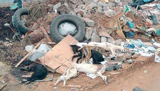 Inocentes condenados