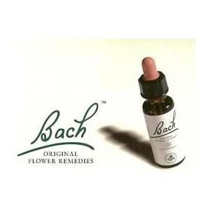 ¿Que son las Flores de Bach?