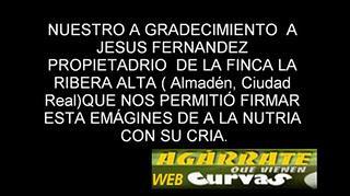 Video: nutria cría finca Ribera Alta