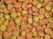 Niveles peligrosos conservantes alimento para perros