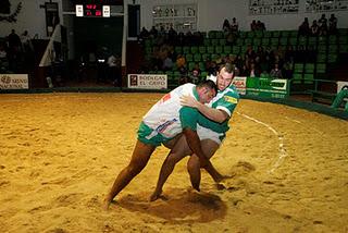 FOTOS TAO 12 - SAN BARTOLOME 9 LUCHA CANARIA LANZAROTE 2.011-2012 (1)