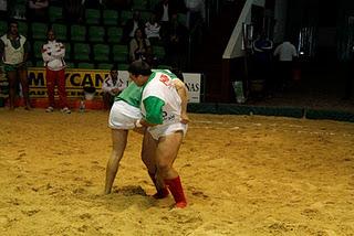 FOTOS TAO 12 - SAN BARTOLOME 9 LUCHA CANARIA LANZAROTE 2.011-2012 (1)