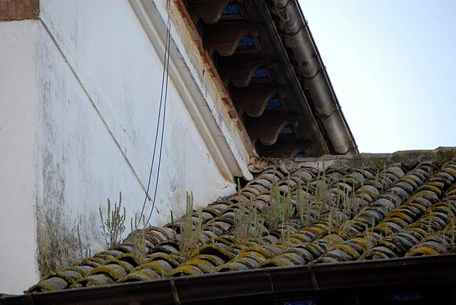 ¿OS ACORDÁIS CUANDO POR ESTAS FECHAS SE COBRABA EL EMPLEO JUVENIL?