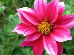 Nuestra fuerza humana en el obrar de Dios