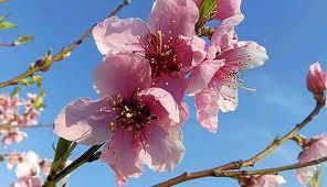 Las bendiciones según nuestras actitudes