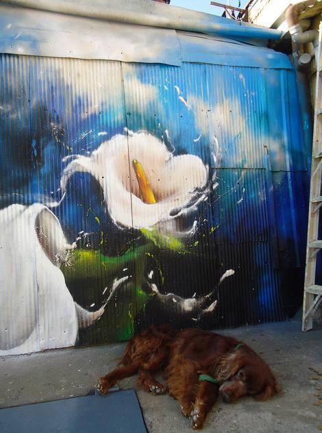 Urban art shots: Teo en Valparaiso